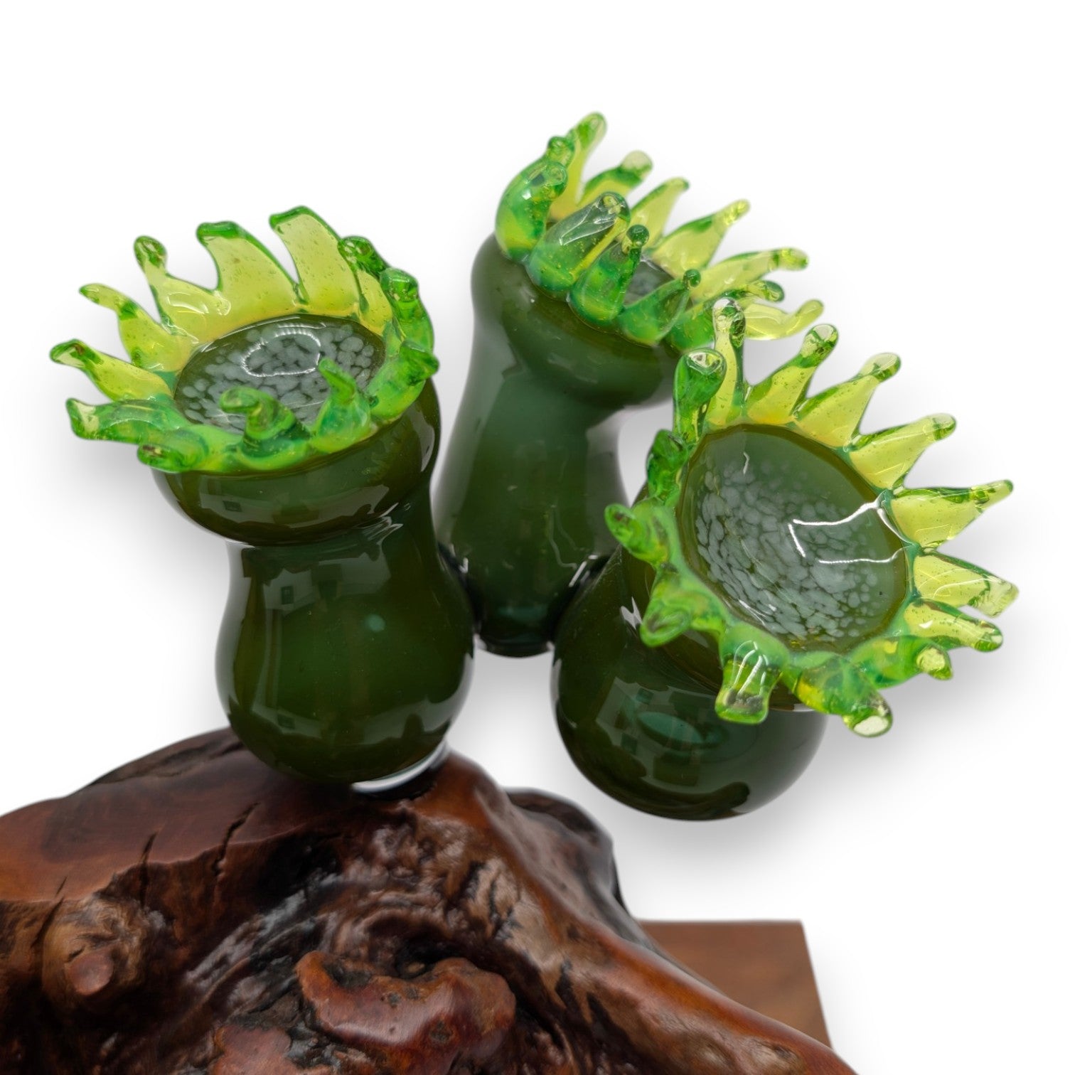 Marine Sculpture - Kelp and Anemone