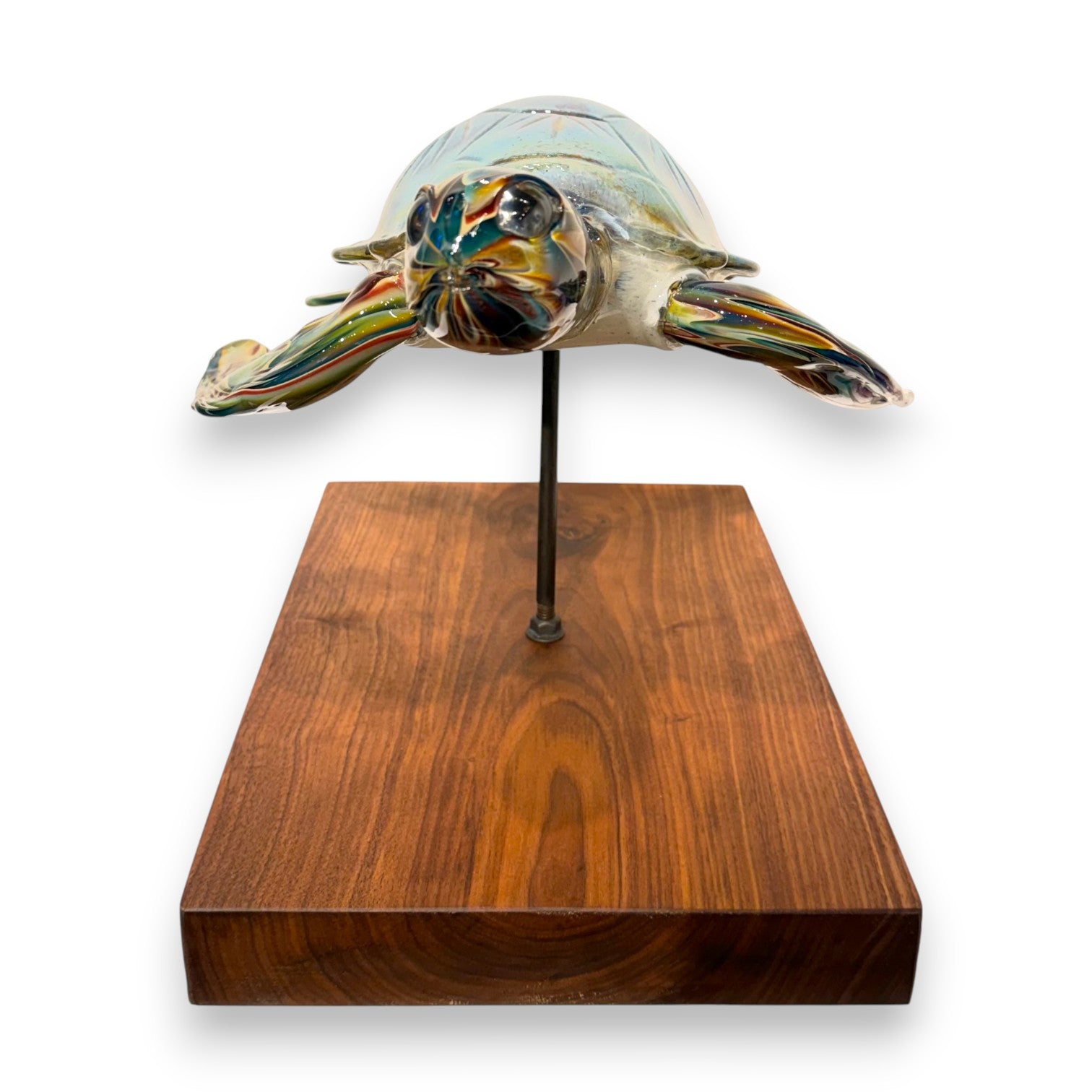 SGS Turtle on Wood Base 1
