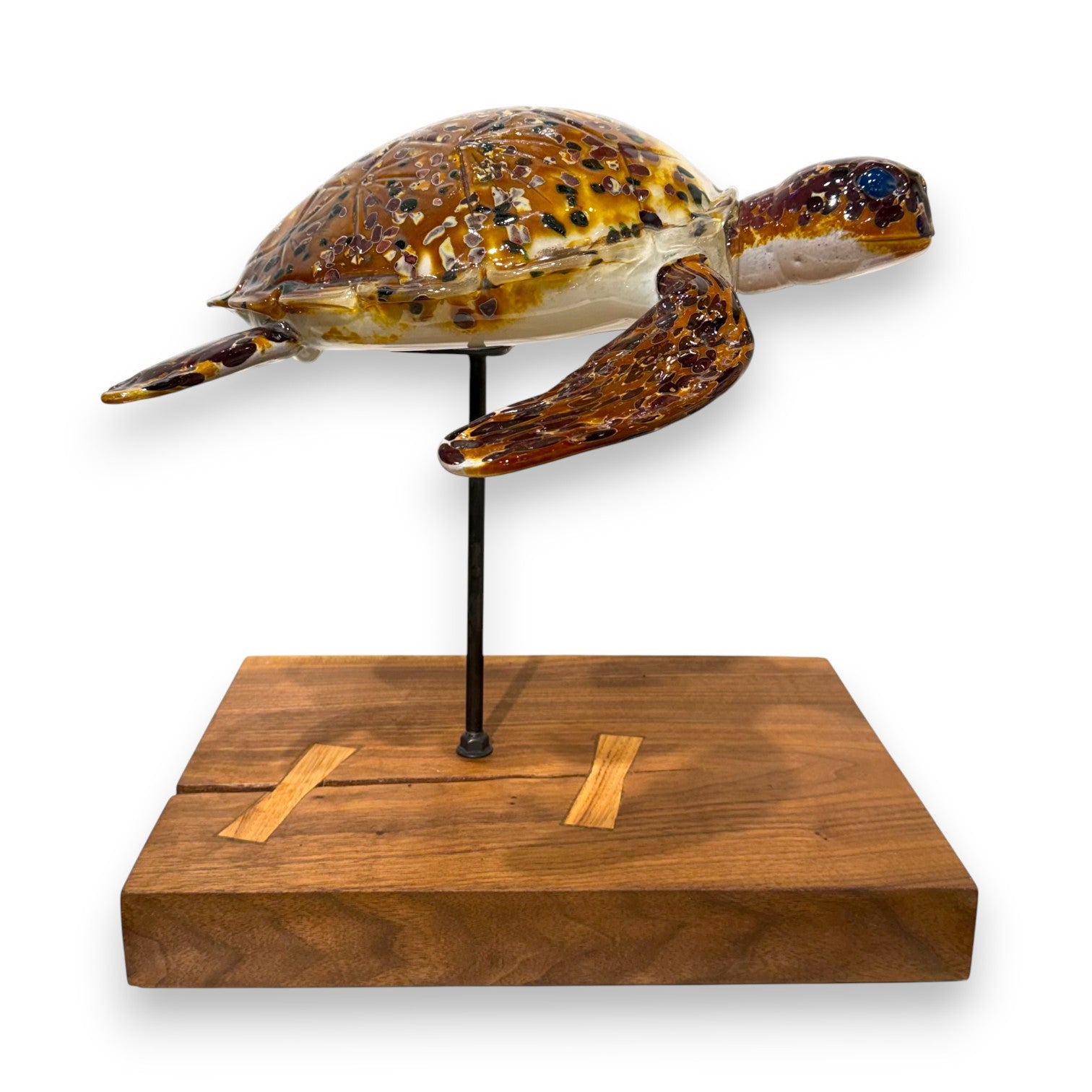 SGS Turtle on Wood Base 2