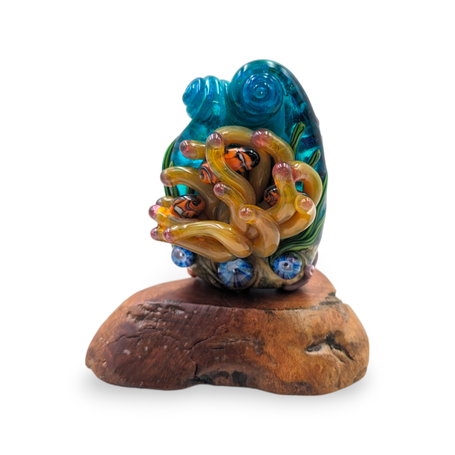 Golden Clownfish Anemone Bd