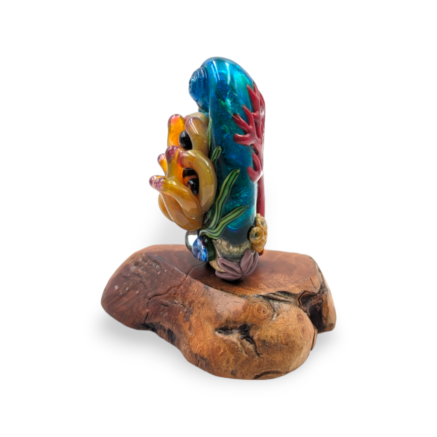 Golden Clownfish Anemone Bd