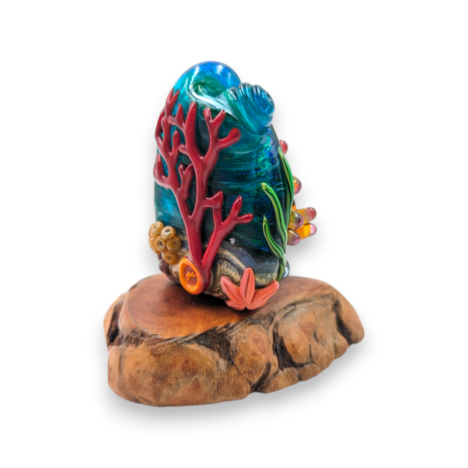 Golden Clownfish Anemone Bd