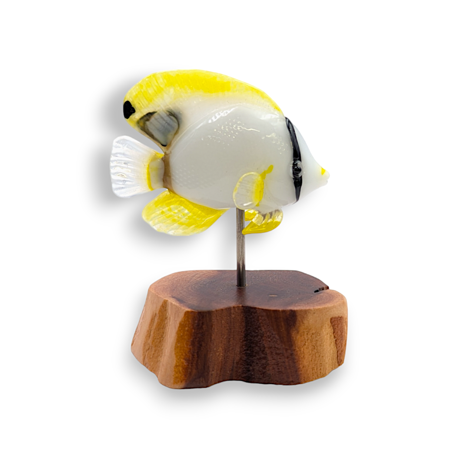 Spotfin Butterfly Fish