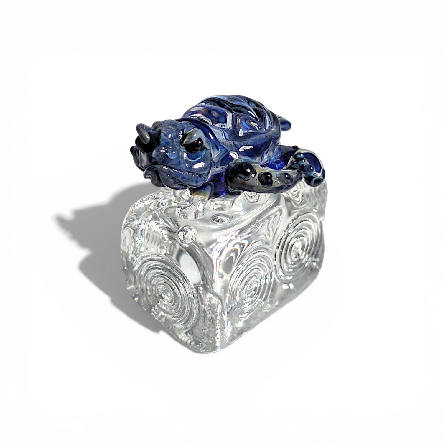 Dichroic Turtle on Ice