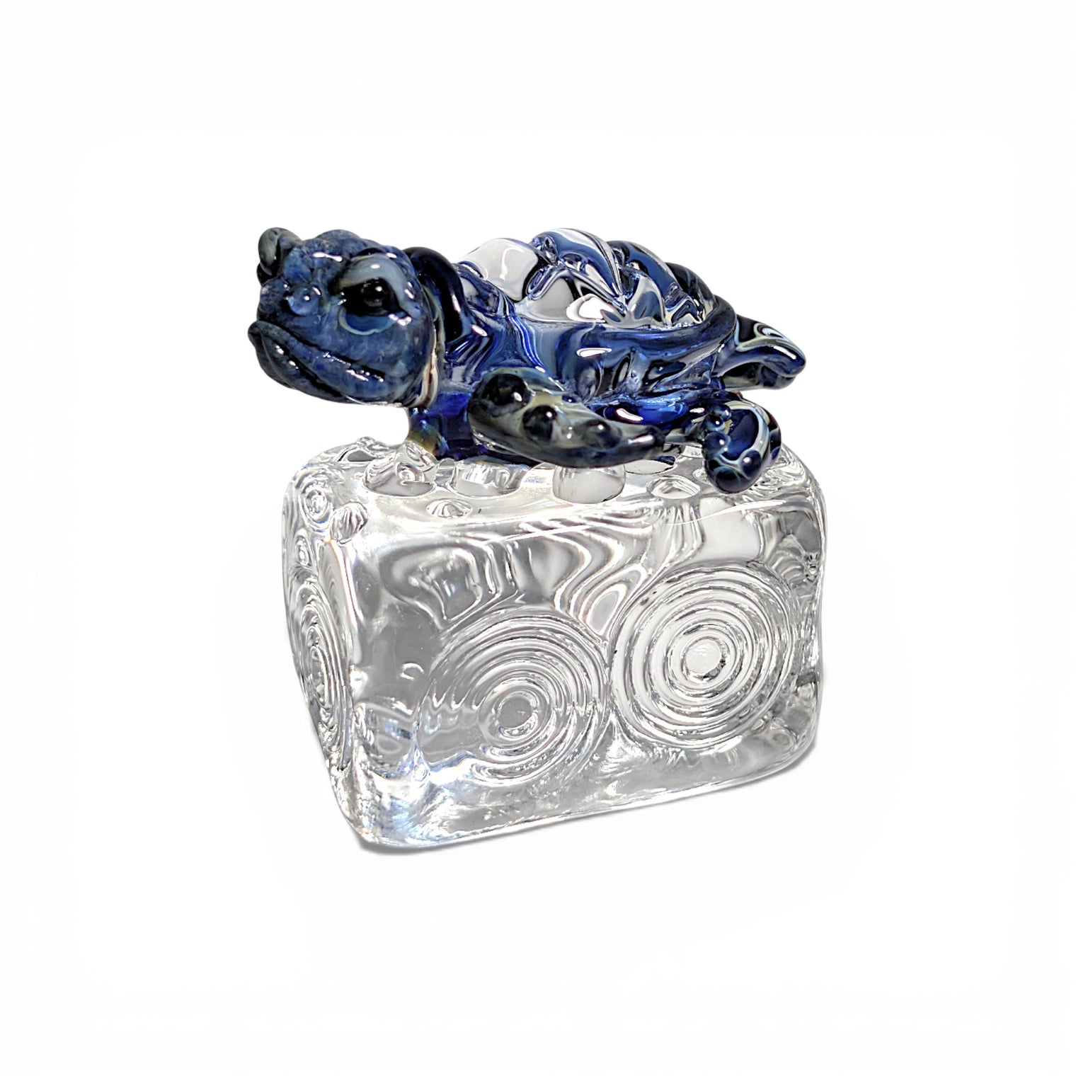 Dichroic Turtle on Ice