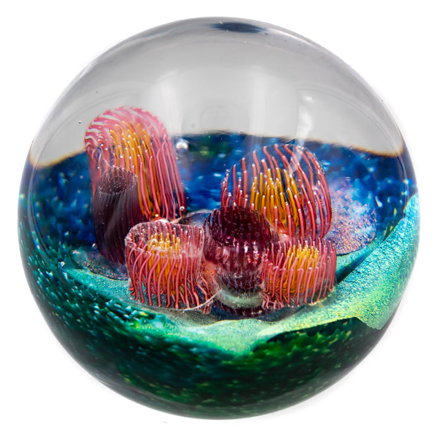 Murrini Paperweight