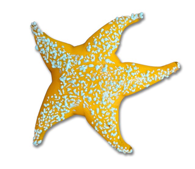 Small Starfish Sculpture