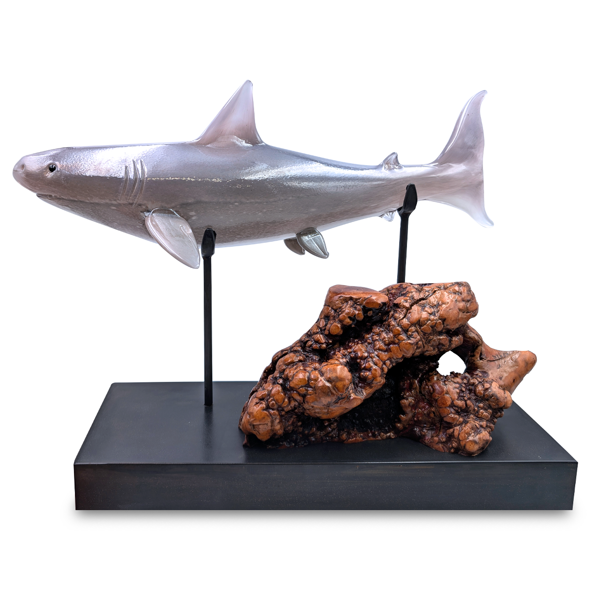 Great White Shark on base