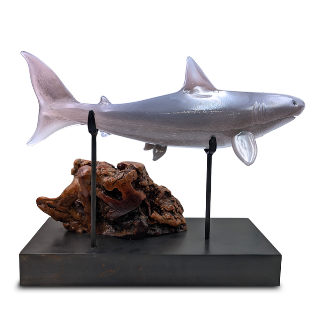 Great White Shark on base