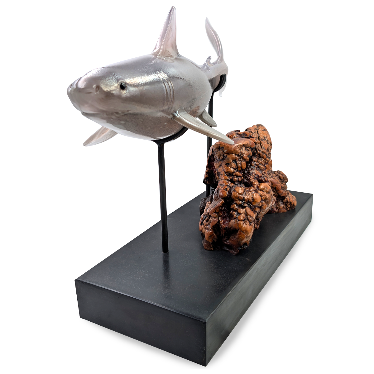 Great White Shark on base