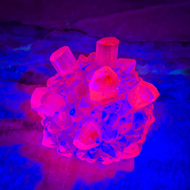 Nodule Secret Blush #224/2