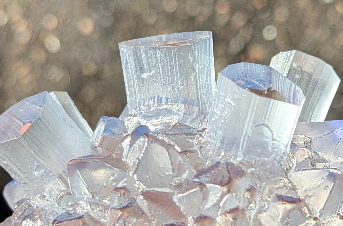 Nodule Secret Blush #224/2