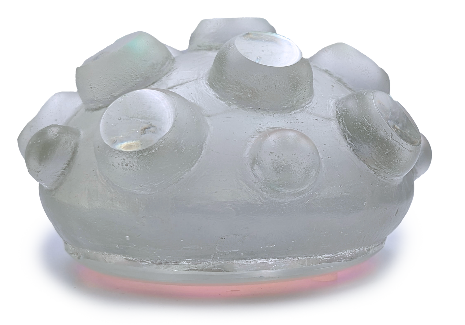 Nodule Trilobites #38