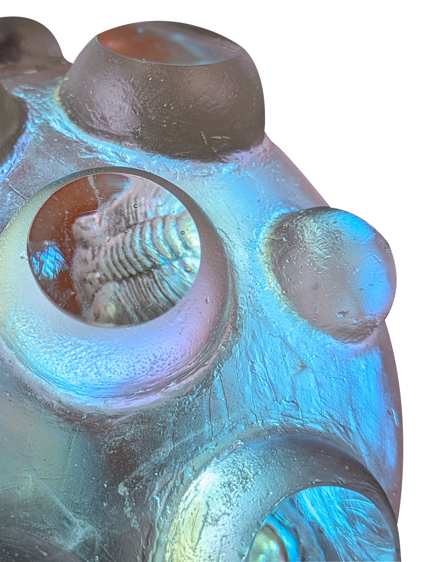 Nodule Trilobites #38