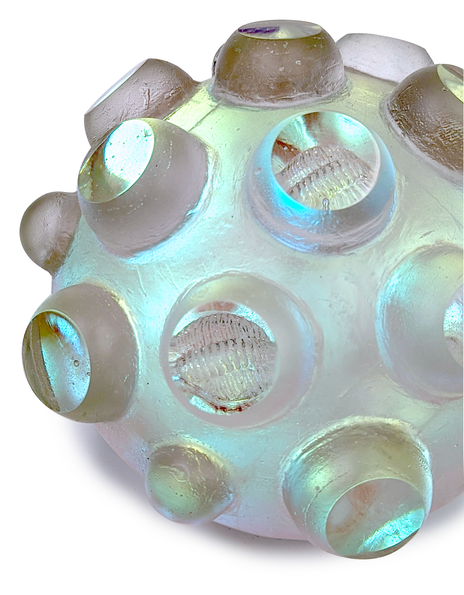 Nodule Trilobites #38