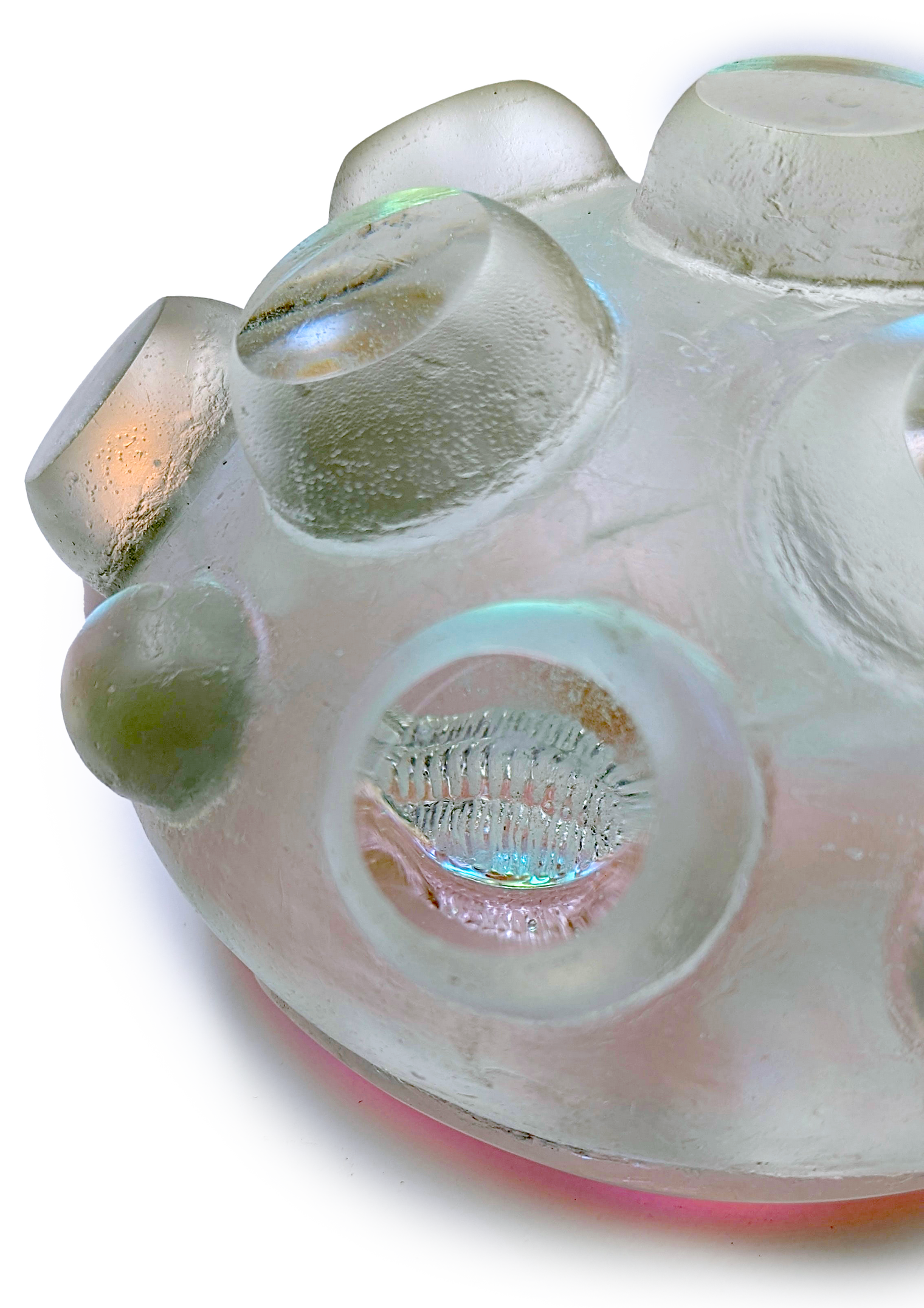 Nodule Trilobites #38