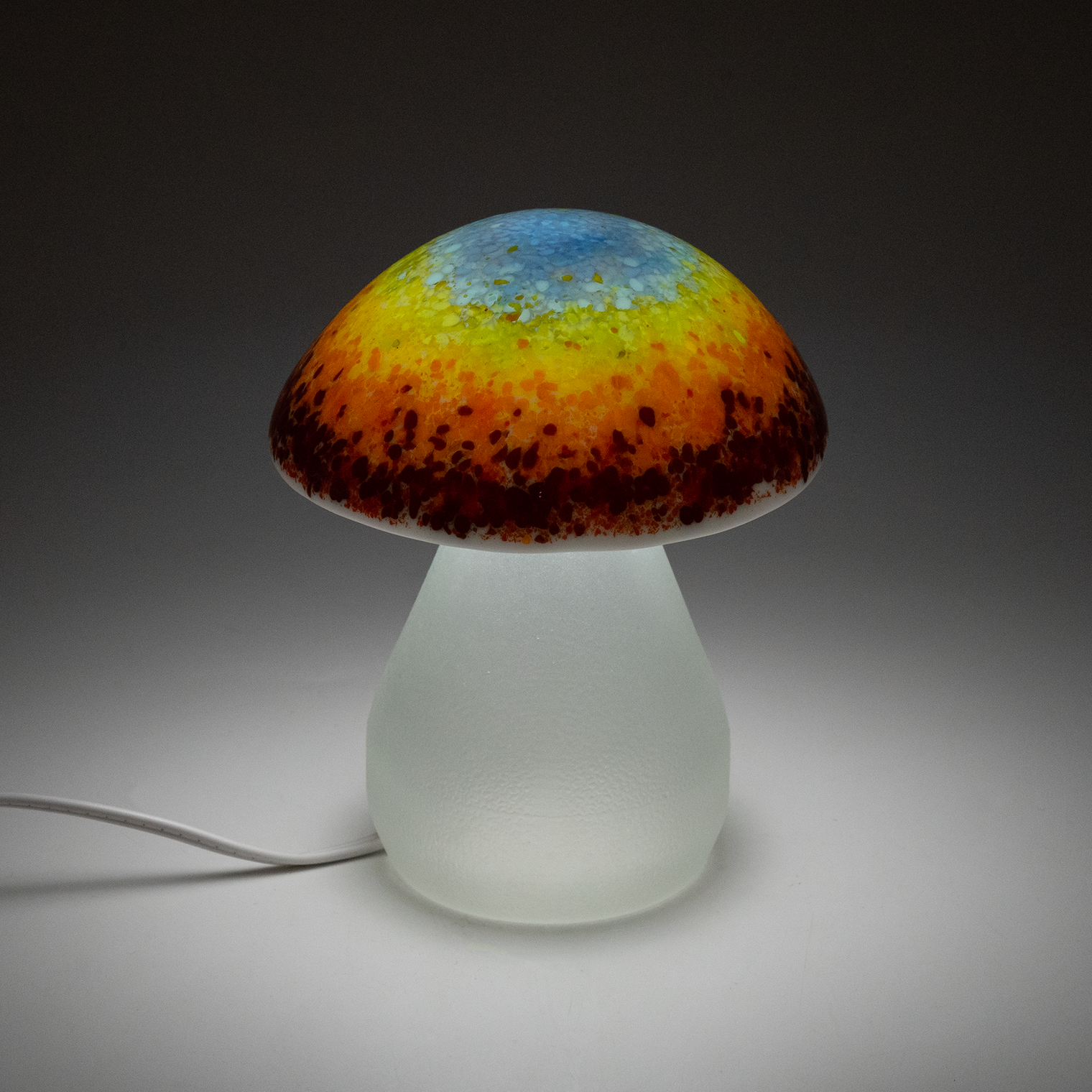 Rainbow Mushroom Lamp