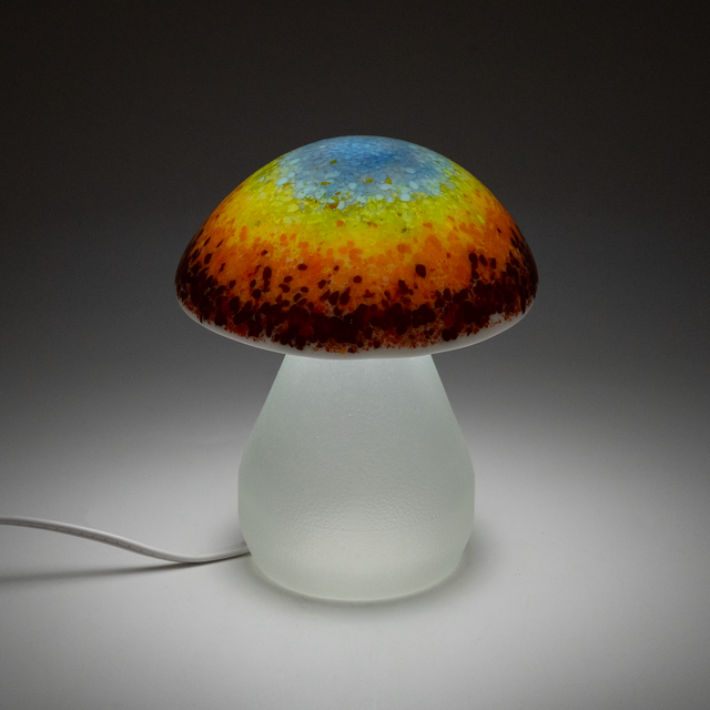 Rainbow Mushroom Lamp
