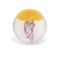 Jellyfish Paperweight