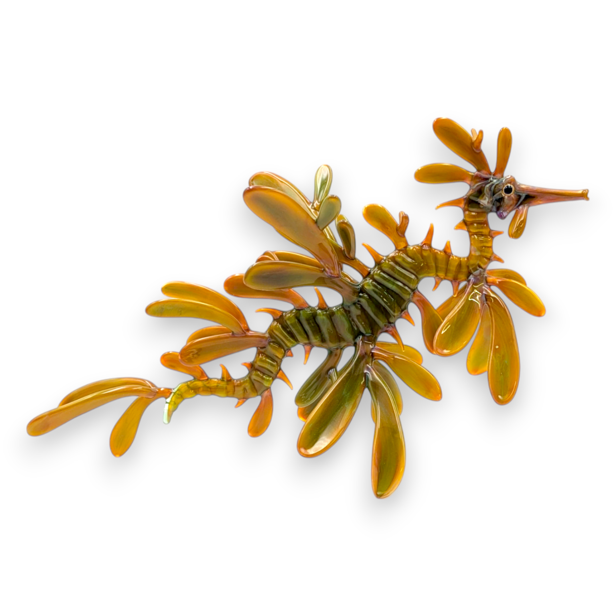 Leafy Seadragon