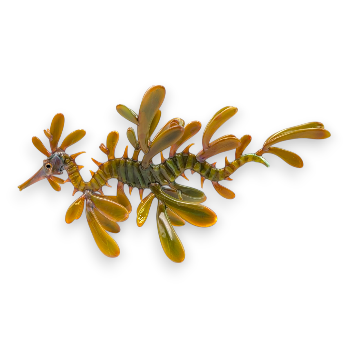 Leafy Seadragon