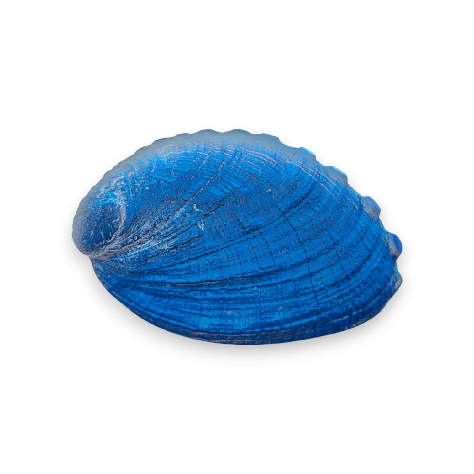 Aural Abalone Shell Sculpture