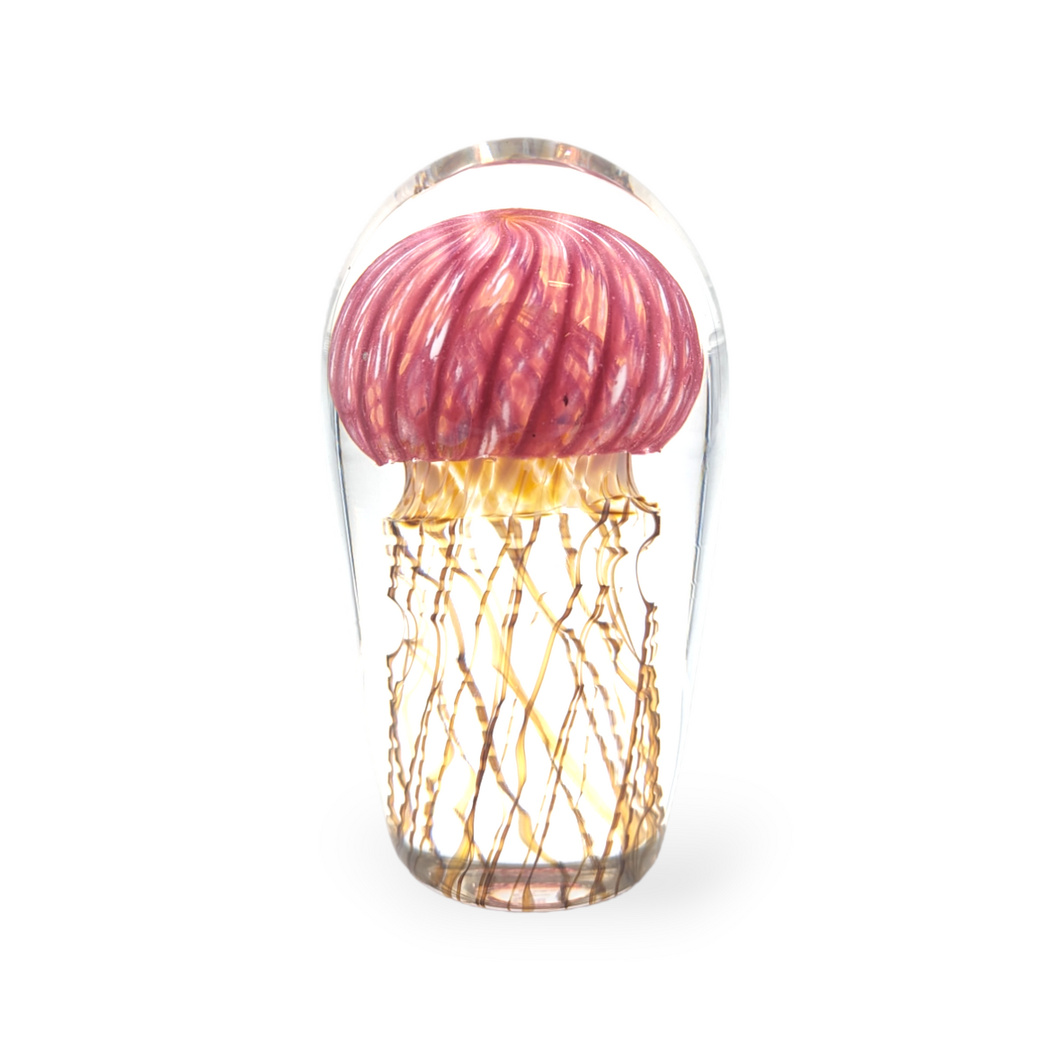 Gold Ruby Jellyfish