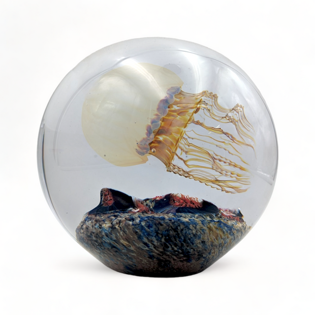 Moon Sideswimmer Jellyfish Magnum