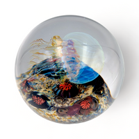 Moon Sideswimmer Jellyfish Magnum