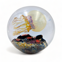 Moon Sideswimmer Jellyfish Magnum