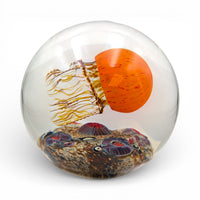 Pacific Coast Sideswimmer Jellyfish Magnum