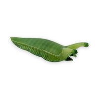 Slug