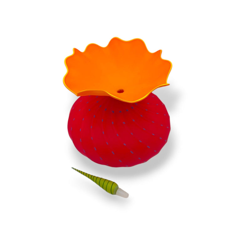 Bobtanical Urchin