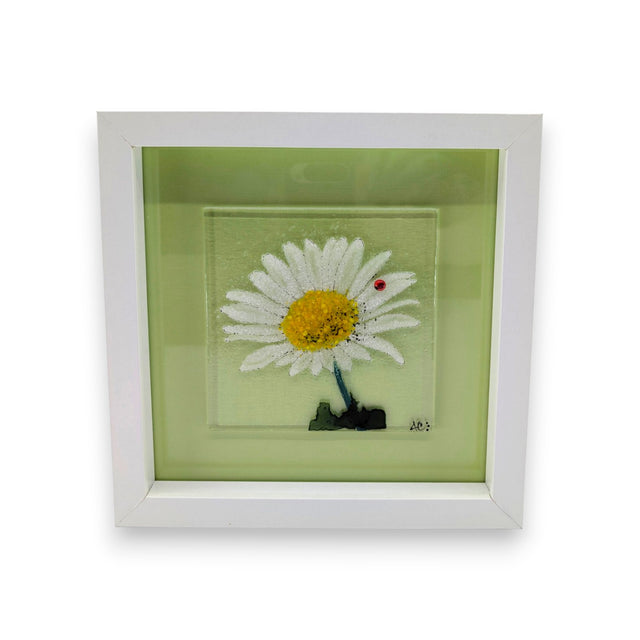 Framed Nature