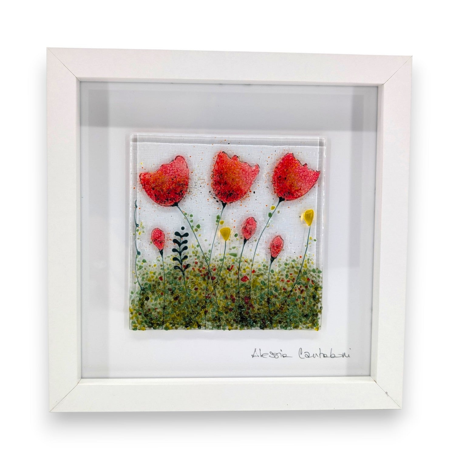Framed Nature
