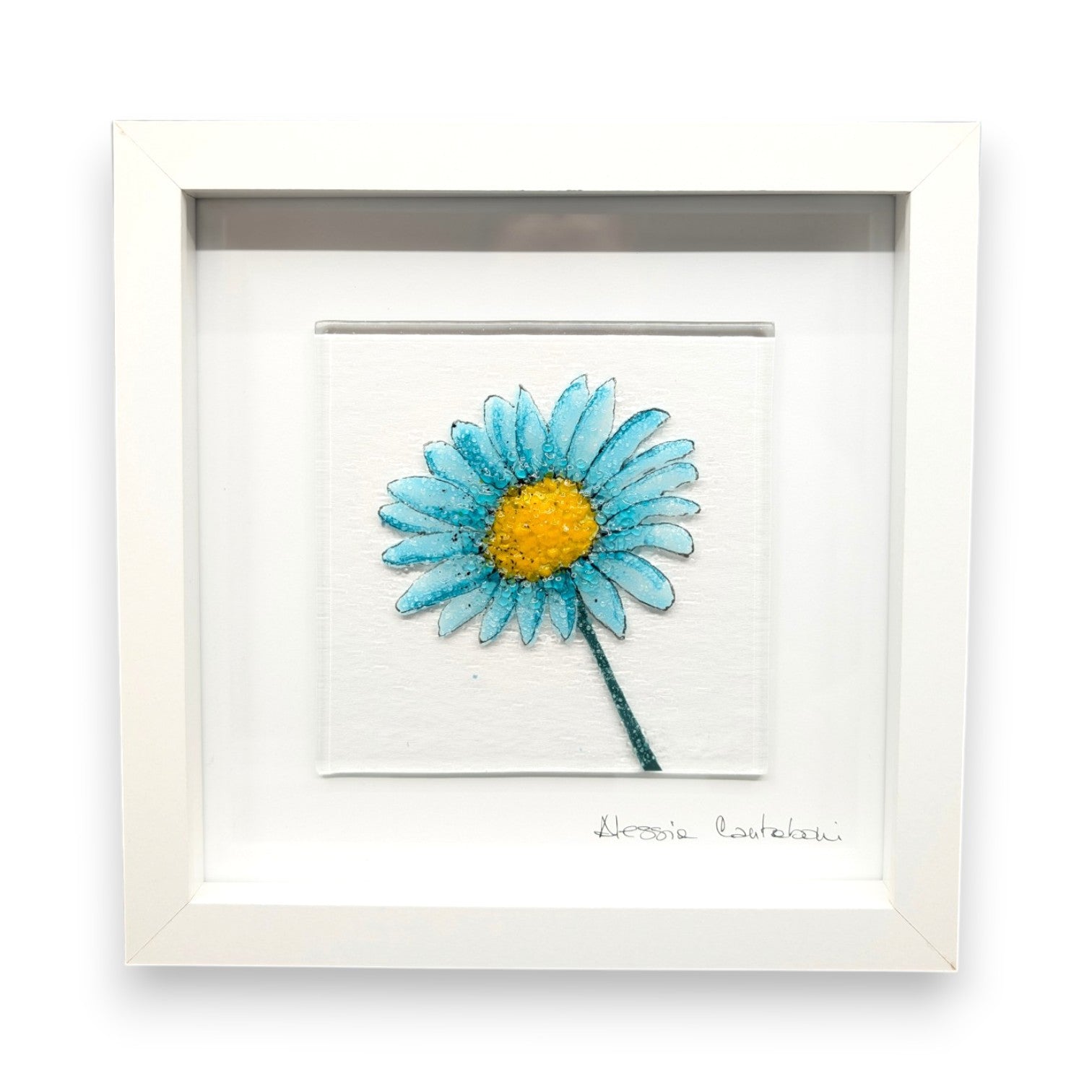 Framed Nature