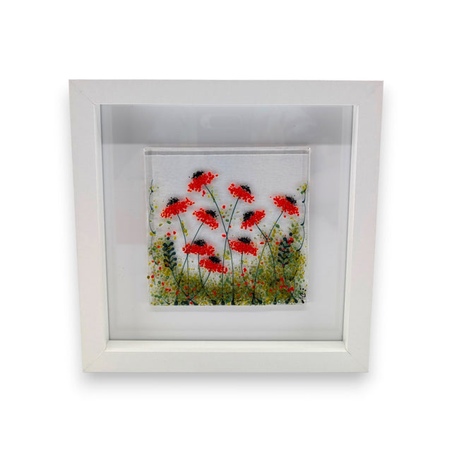 Framed Nature