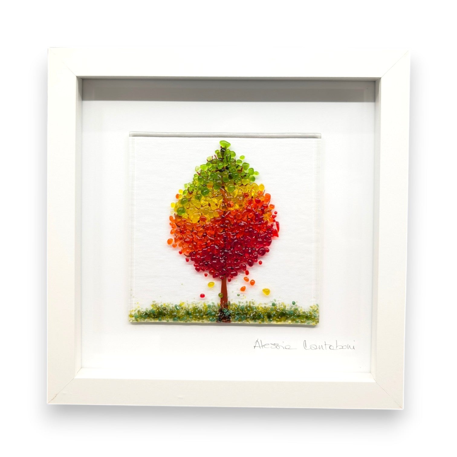 Framed Nature