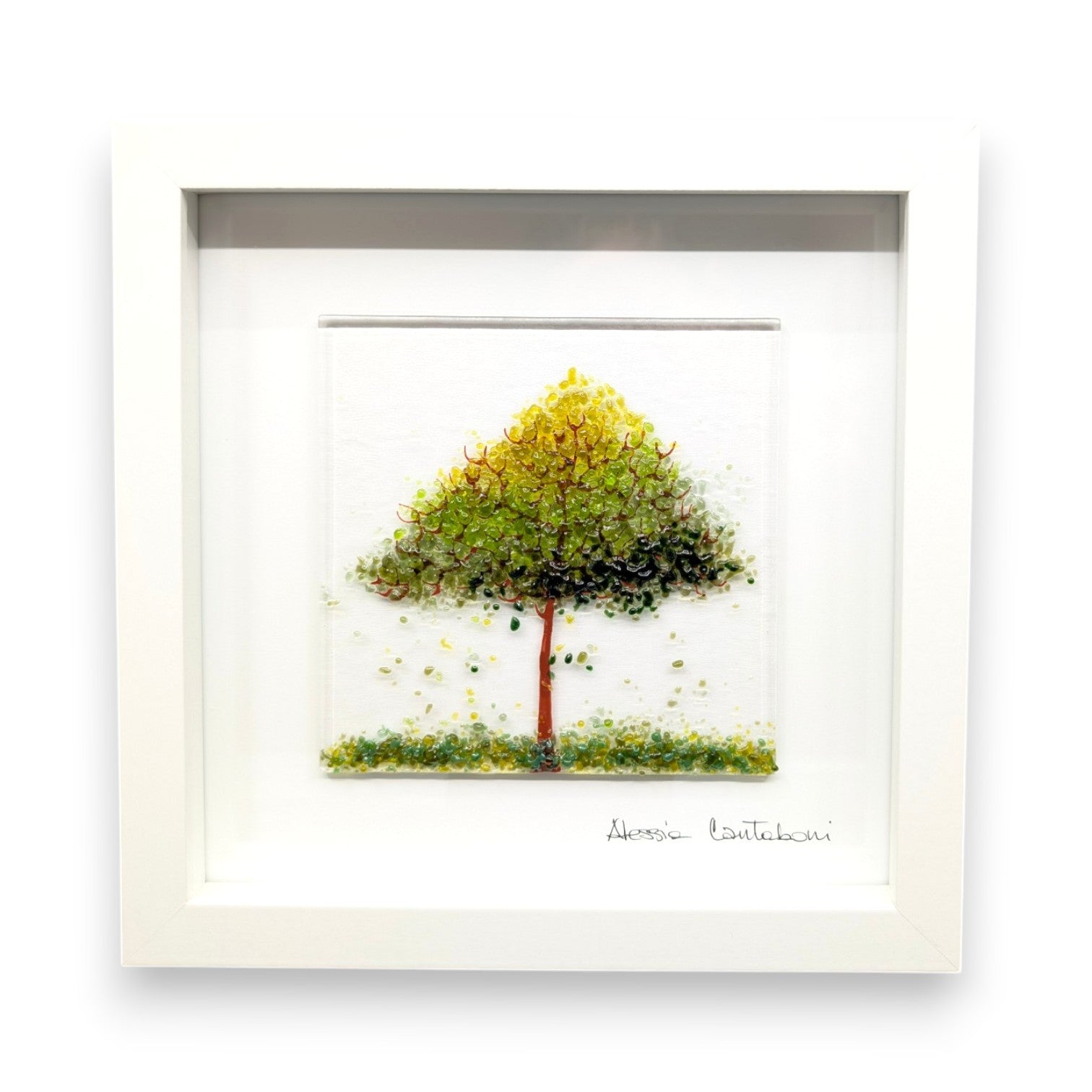 Framed Nature