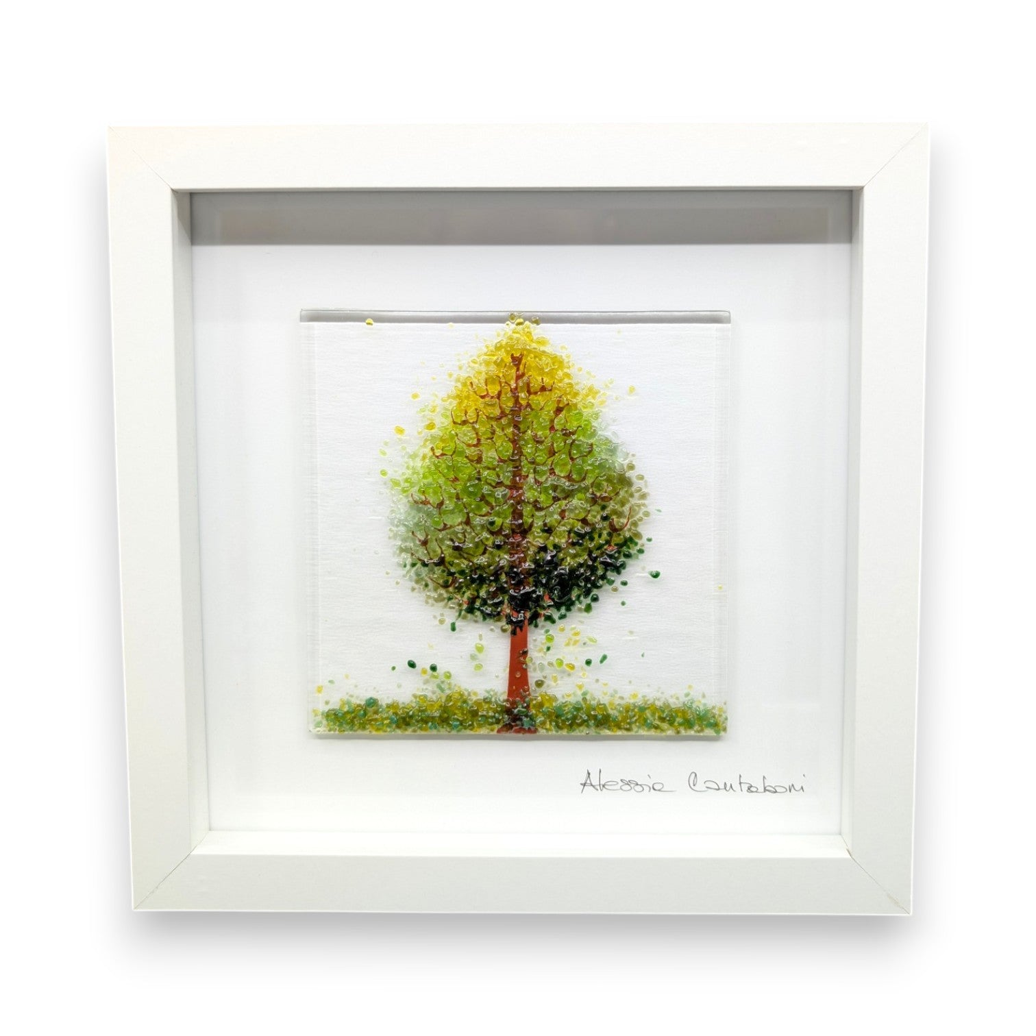 Framed Nature