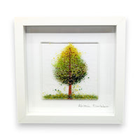 Framed Nature