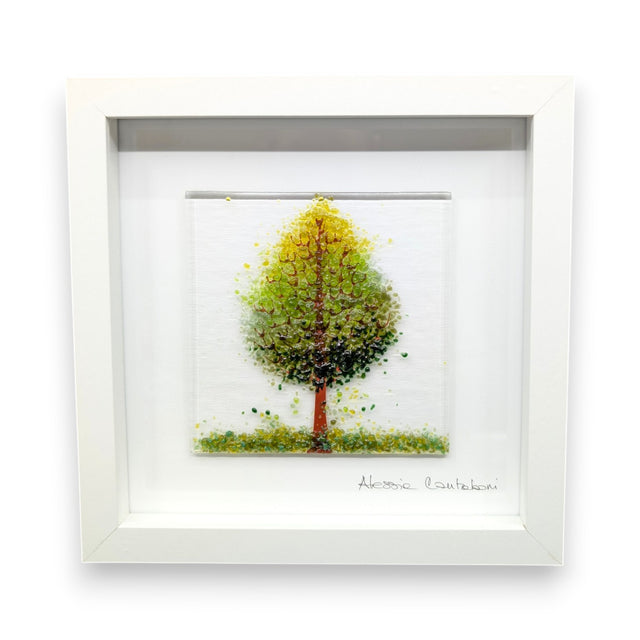 Framed Nature