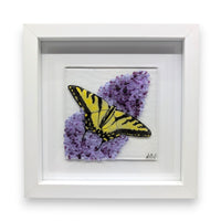 Framed Nature