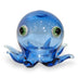Big Eye Octopus