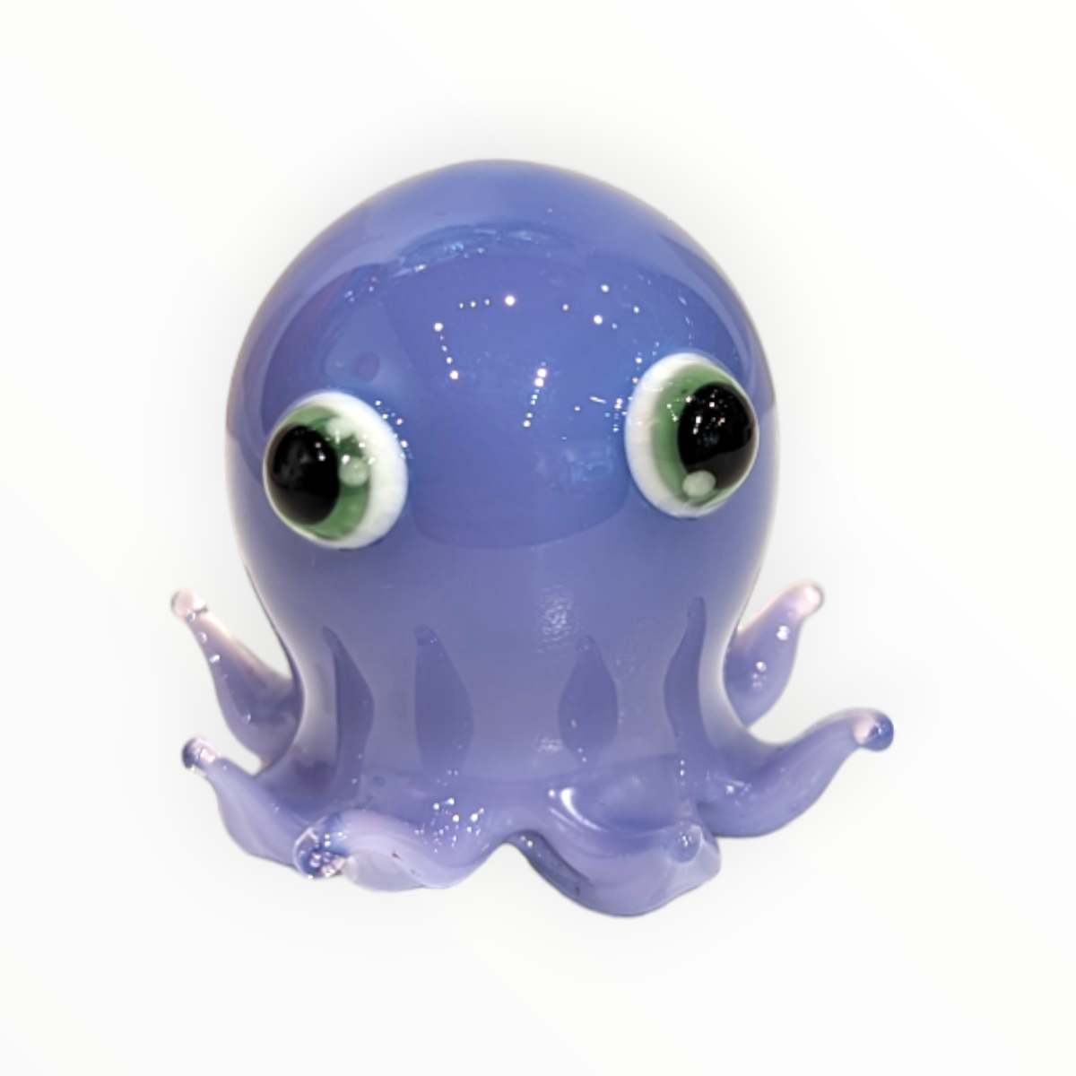 Big Eye Octopus