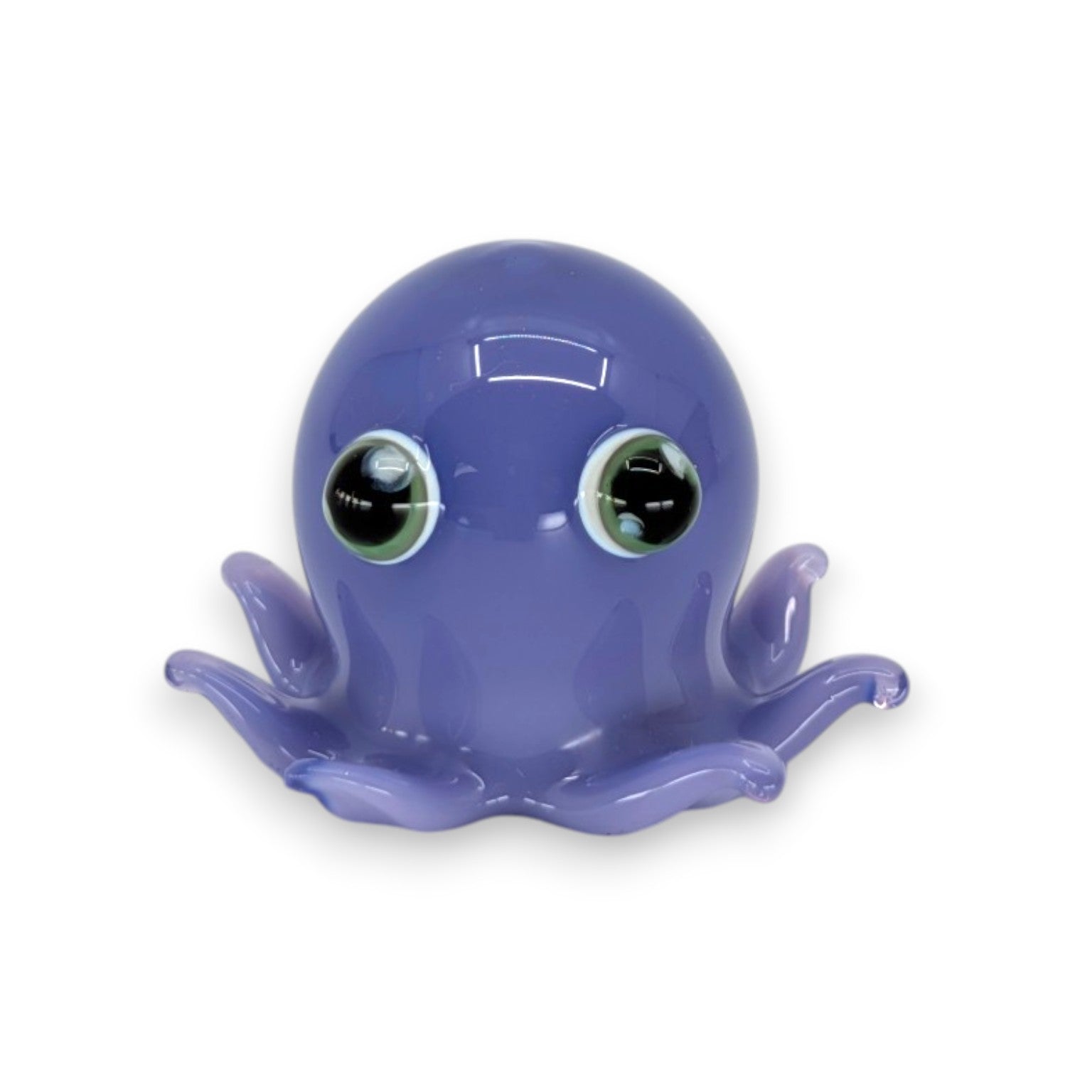 Big Eye Octopus