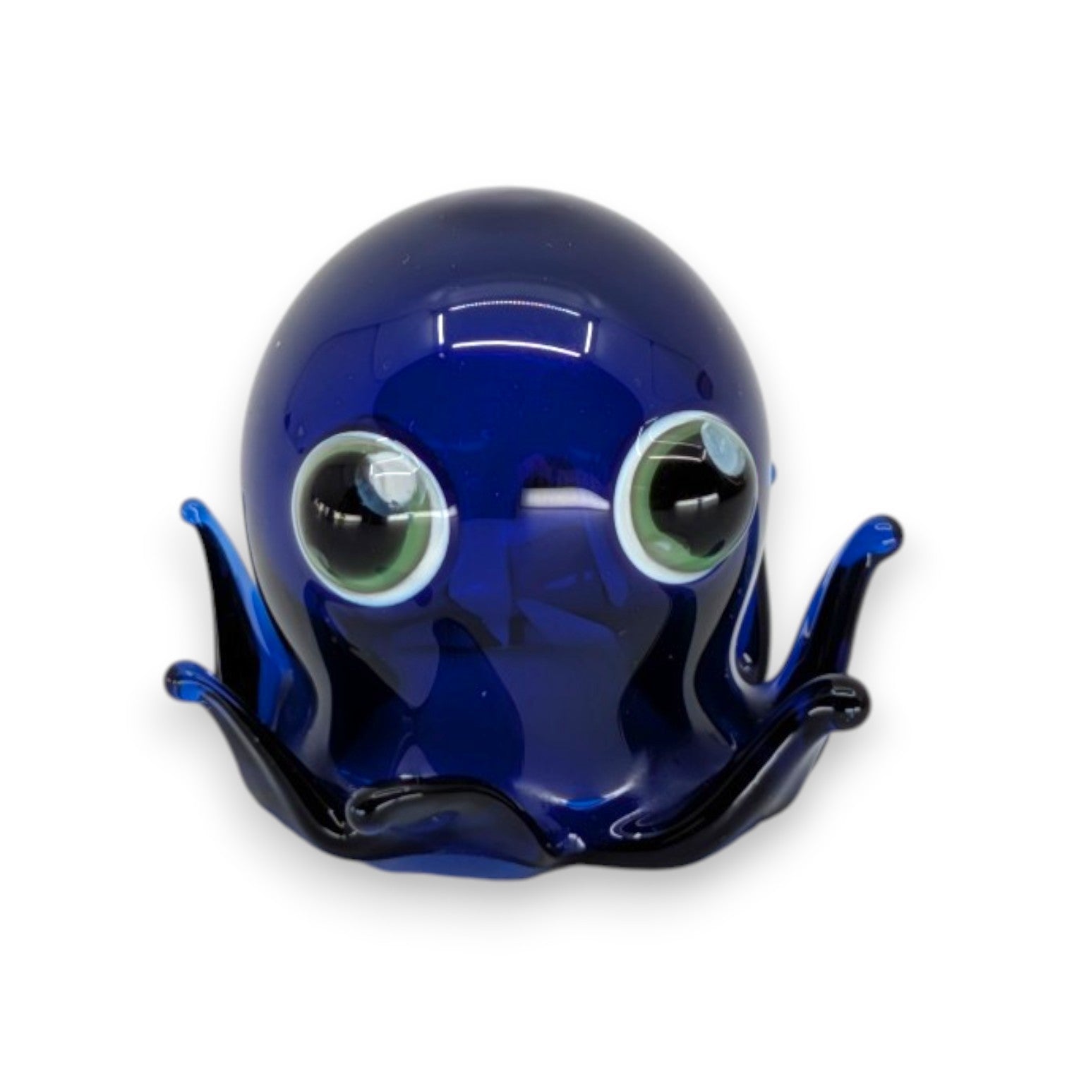 Big Eye Octopus