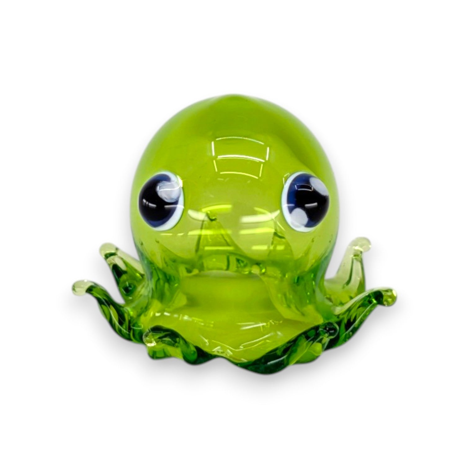 Big Eye Octopus