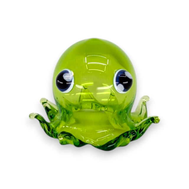 Big Eye Octopus