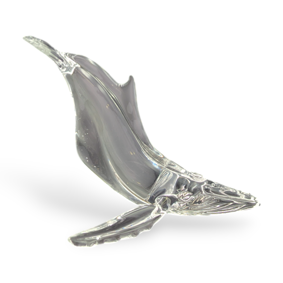 Clear Humpback Whale